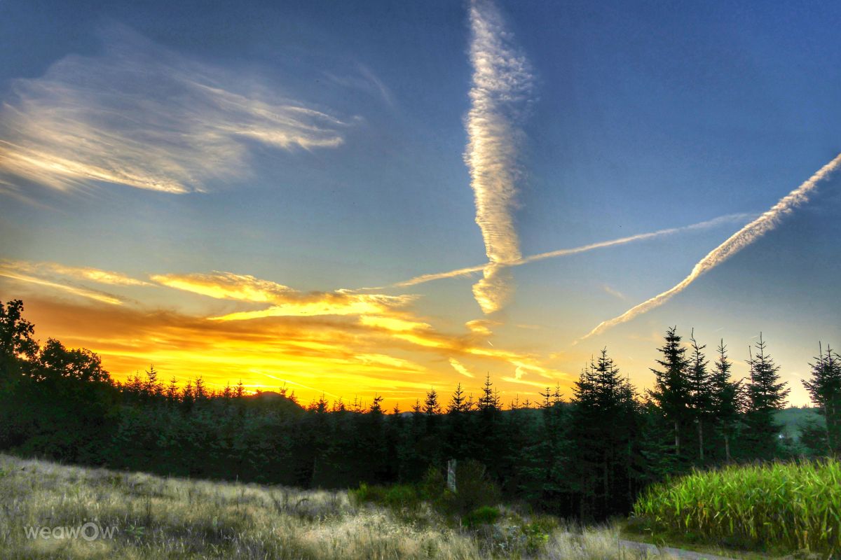 Prévisions météo avec de superbes photos de Lotti5507