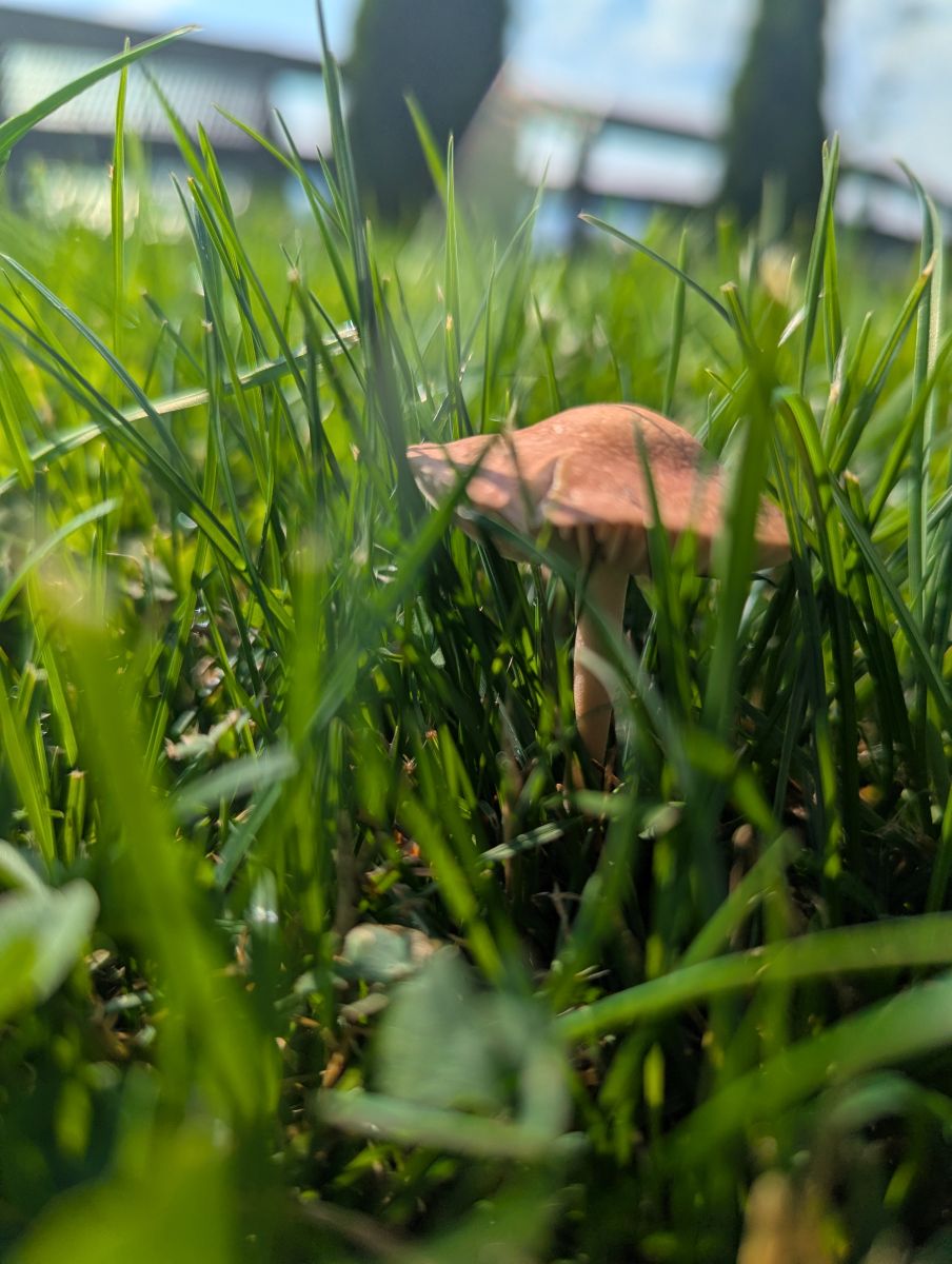 Hình ảnh Thời tiết ở Măgura. Dự báo thời tiết với những bức ảnh đẹp của Musteata