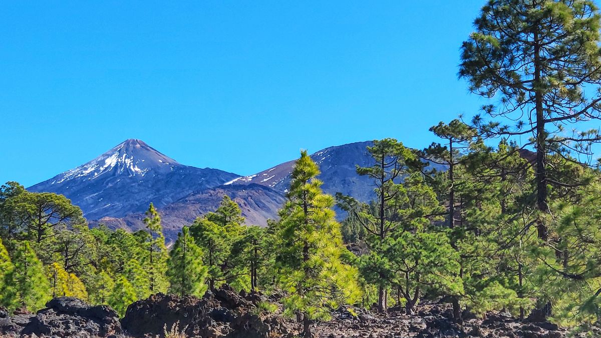 Photographe newgen, Photos météo à Montaña El Chinyero - Weawow
