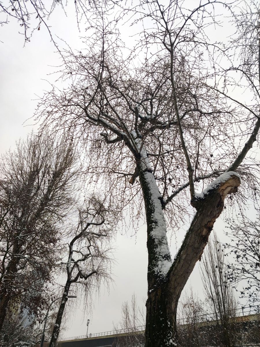 Фотограф Zorrra, Фотографии Погоды в Neukölln - Weawow