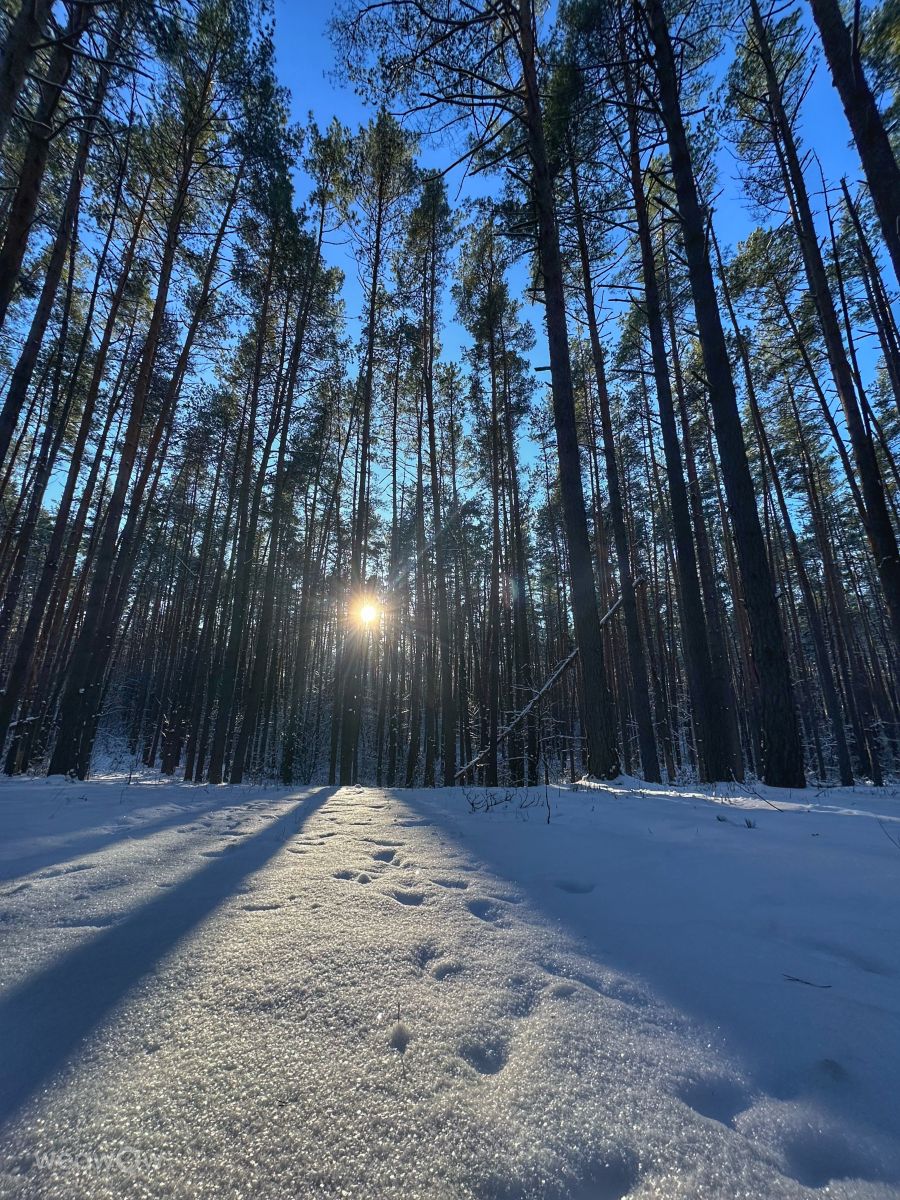 Fotos do tempo em Irpin. Previsões do tempo com lindas fotos de Інна