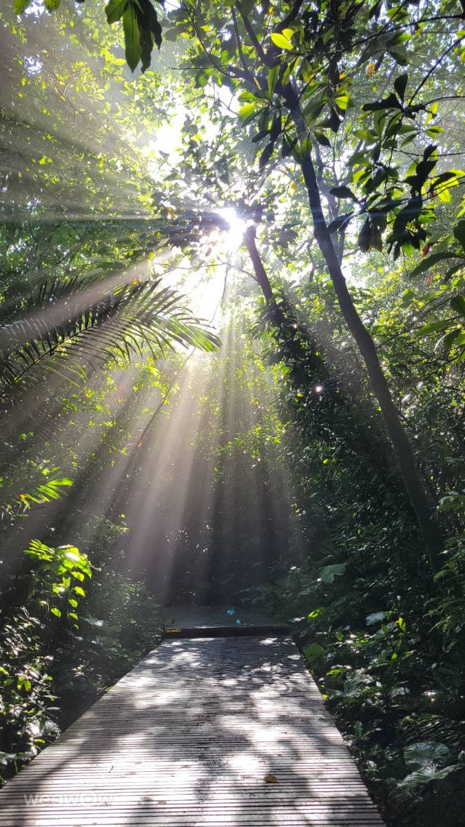 Photographer Tch, Weather Photos in Gushan District - Weawow