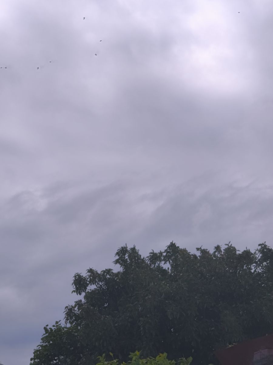 智利的天气照片. 天气预报，带MarioMartínezB精美的照片