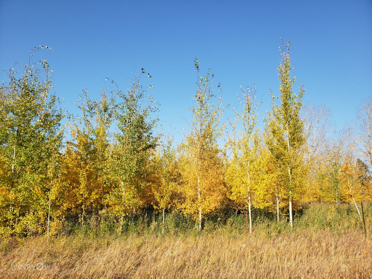 Weather Photos in Canada. Weather forecasts with beautiful photos by Luxlucet