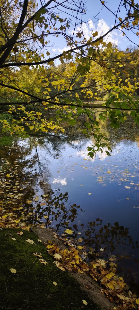 モスクワの天気写真. Amanda_and_Valdemar_Cheの美しい写真による天気予報