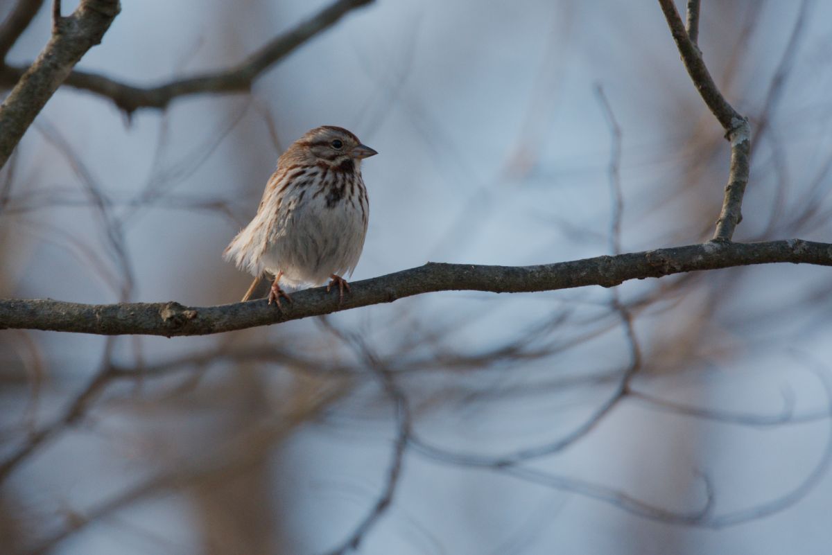 Фотографии Погоды в Hanover. Прогнозы погоды с чудесными фотографиями, сделанными krantzjh