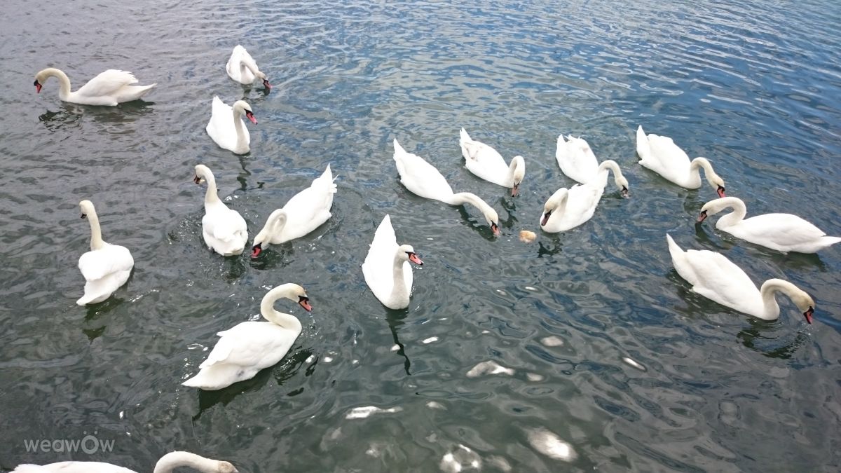 Fotos do tempo em Mangalia. Previsões do tempo com lindas fotos de Tynno72