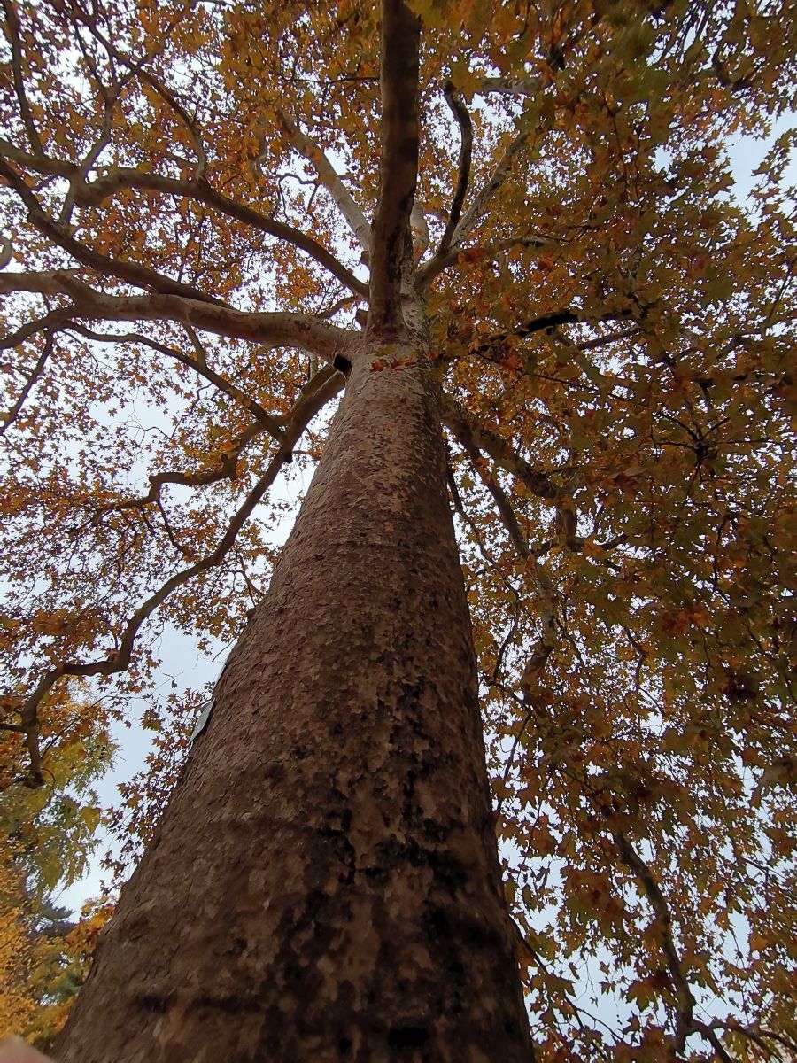 13 Boulevard de l'Hôpital的天气照片. 天气预报，带NikolayPaunchev精美的照片