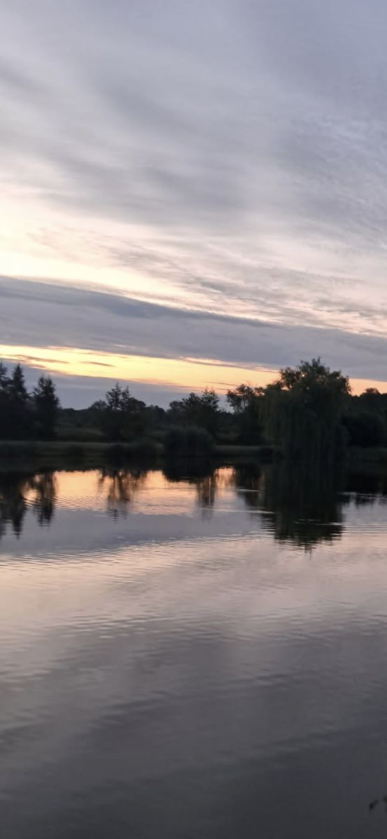 Weather Photos in Zalesie Górne. Weather forecasts with beautiful photos by Beatka