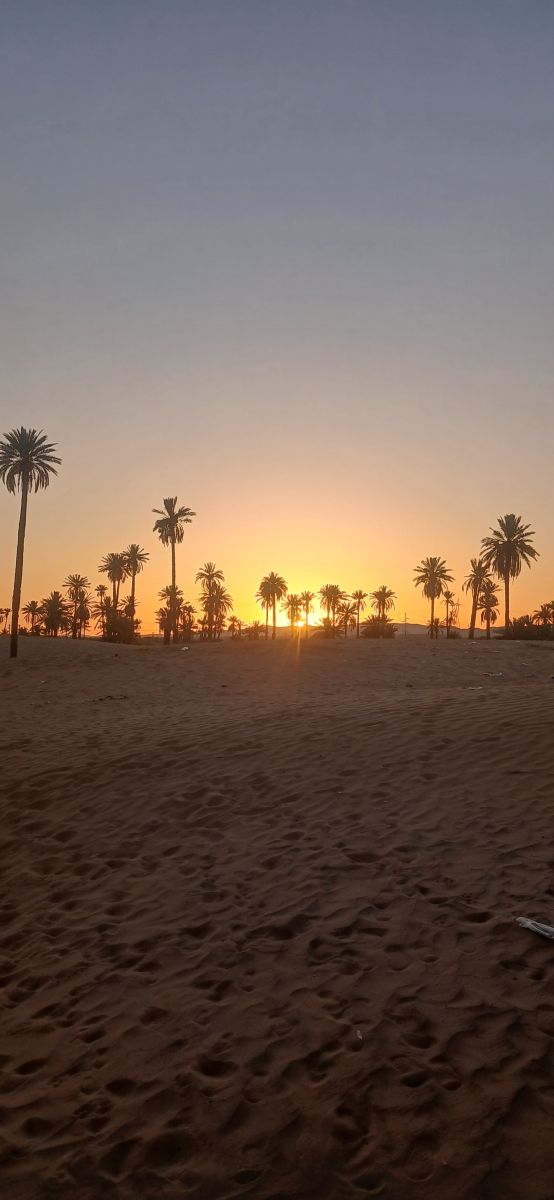 Photos météo à Béchar. Prévisions météo avec de superbes photos de BELGHOUL-KADDA