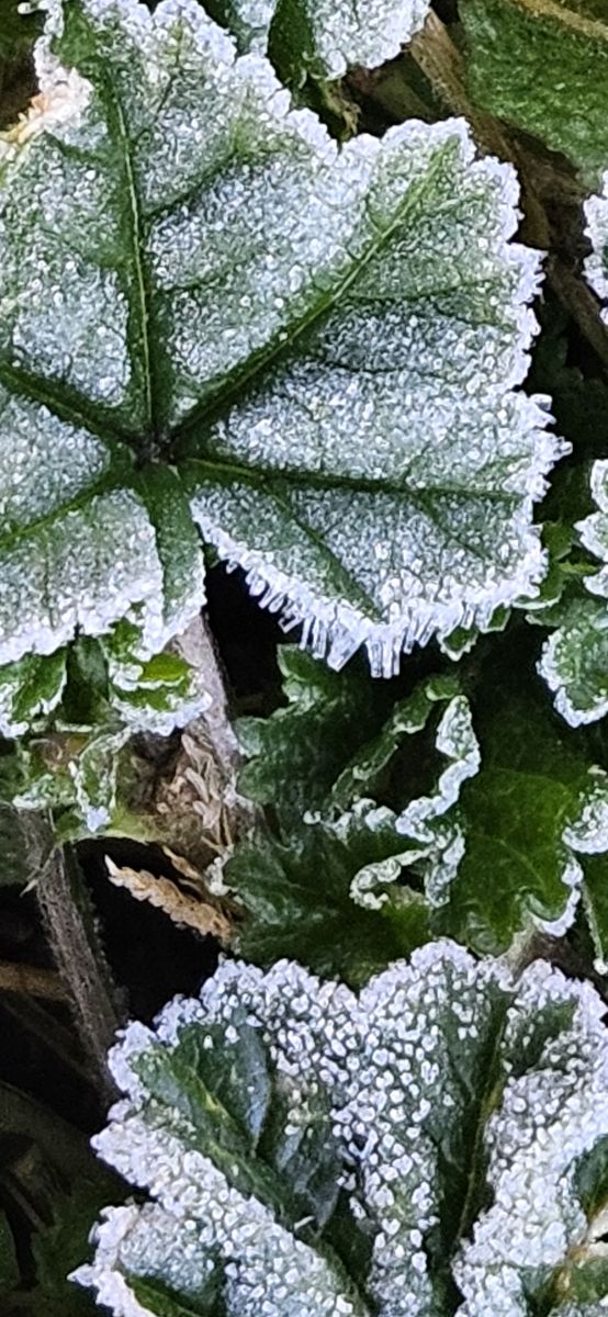 美国的天气照片. 天气预报，带Powerstroke73精美的照片
