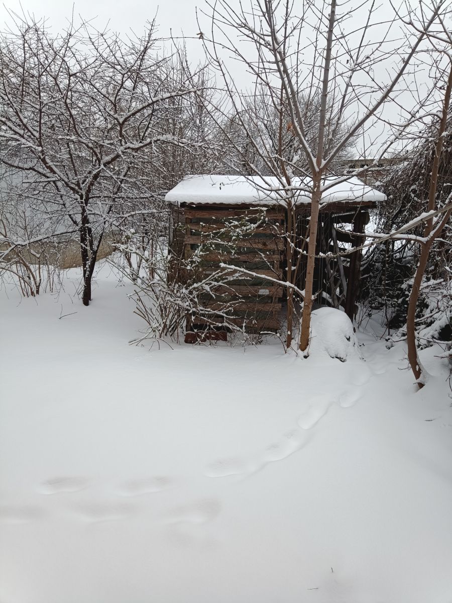 Fotos sobre el clima en Rivne. Pronósticos del tiempo con hermosas fotos de masterigors