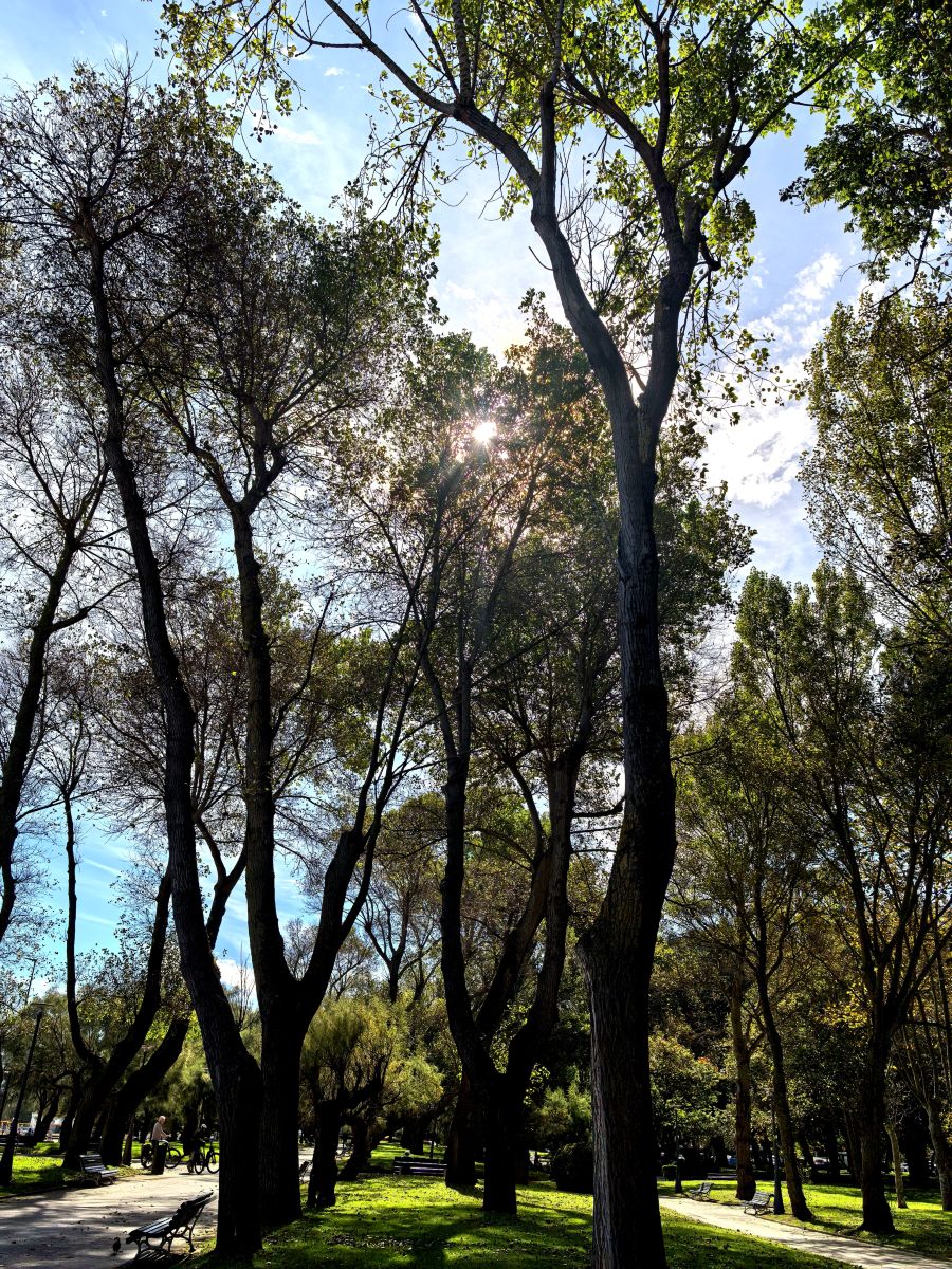 Weather Photos in Santander. Weather forecasts with beautiful photos by Lomarog