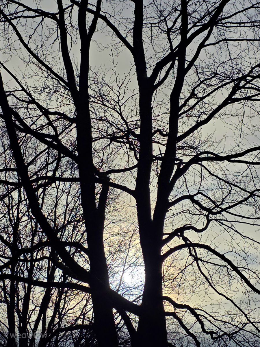 Photos météo à Velbert. Prévisions météo avec de superbes photos de Seni