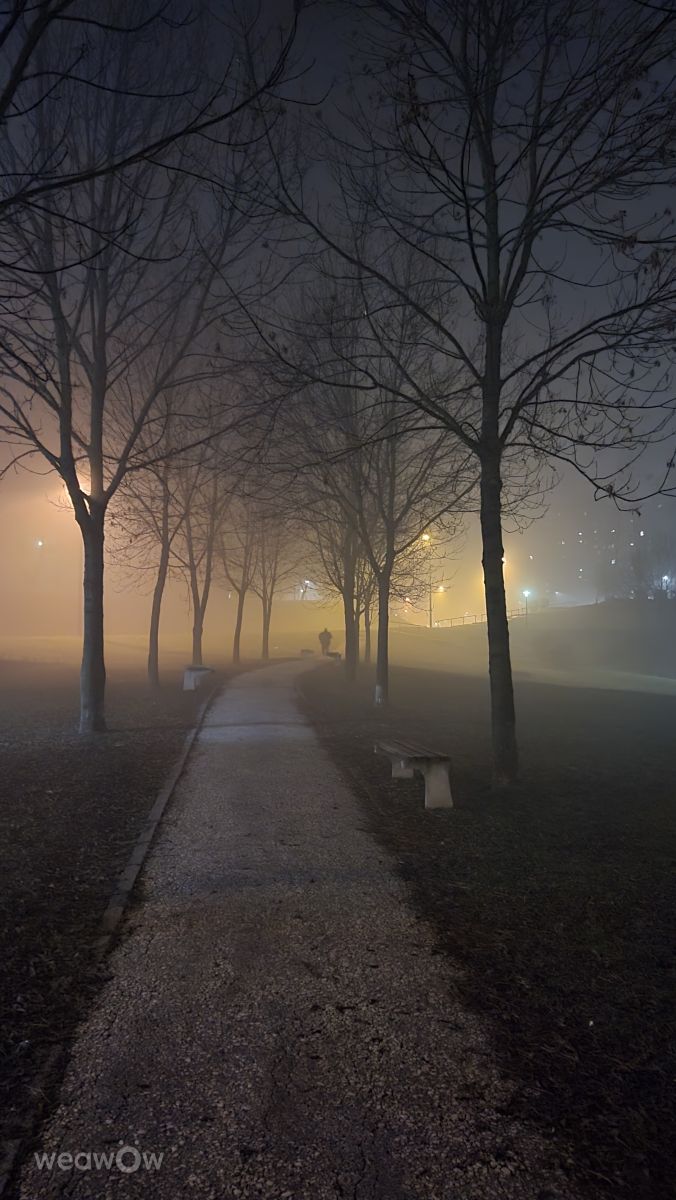 Weather forecasts with beautiful photos by Nody