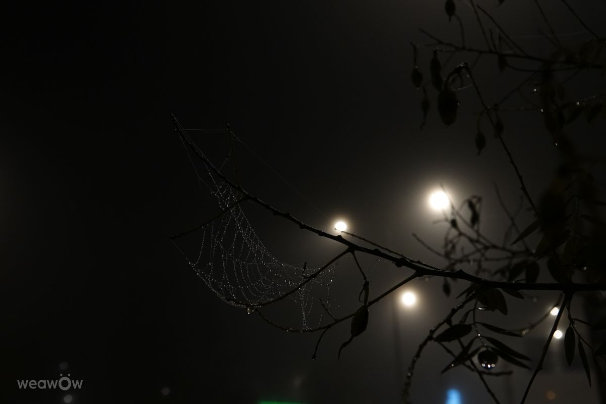 摄影师 Vasek325，Prague的天气照片 - Weawow