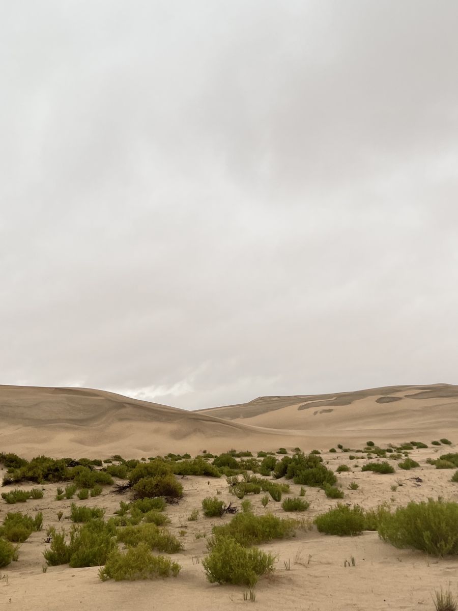 Photos météo à Eastern Province. Prévisions météo avec de superbes photos de Mohamed11