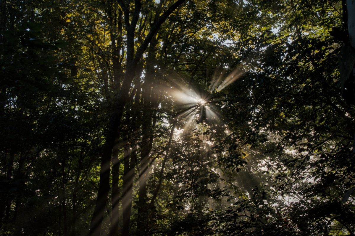 Weather forecasts with beautiful photos by krantzjh