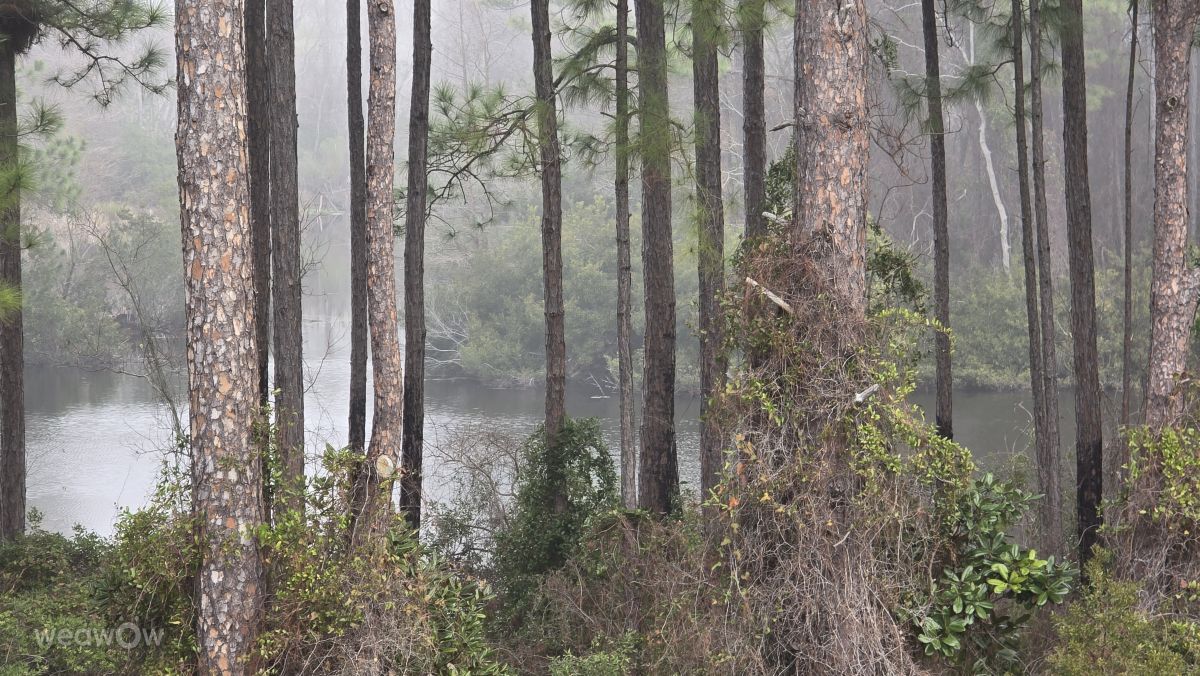 Weather Photos in Florida. Weather forecasts with beautiful photos by CaTSmiles