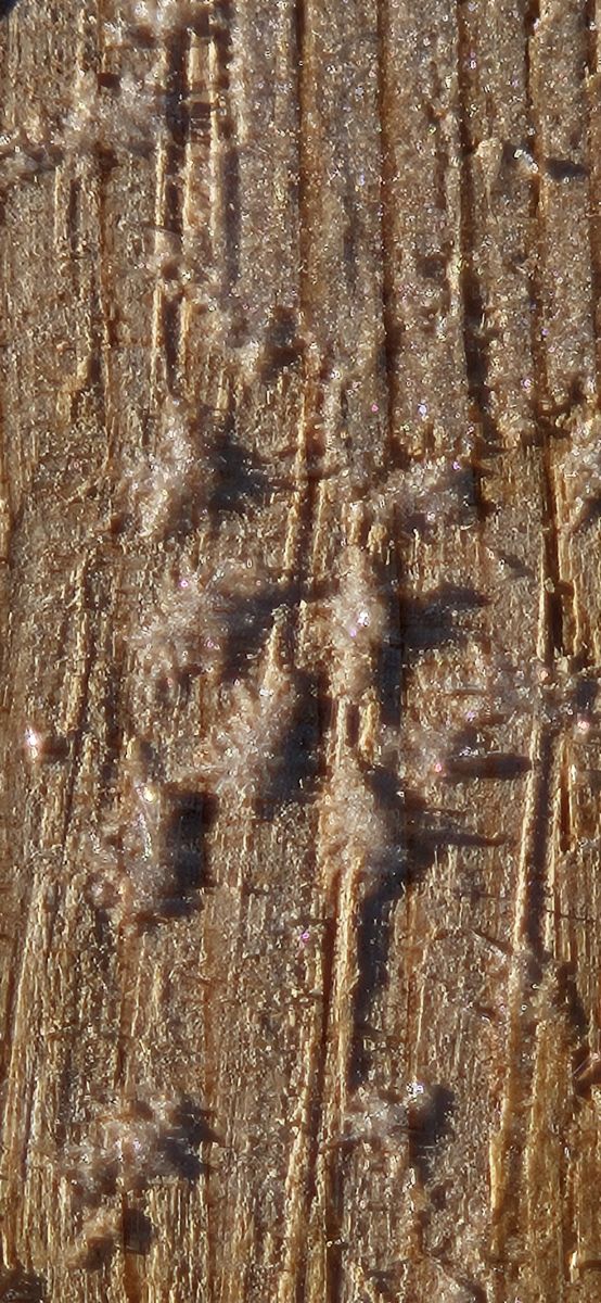 美国的天气照片. 天气预报，带Powerstroke73精美的照片