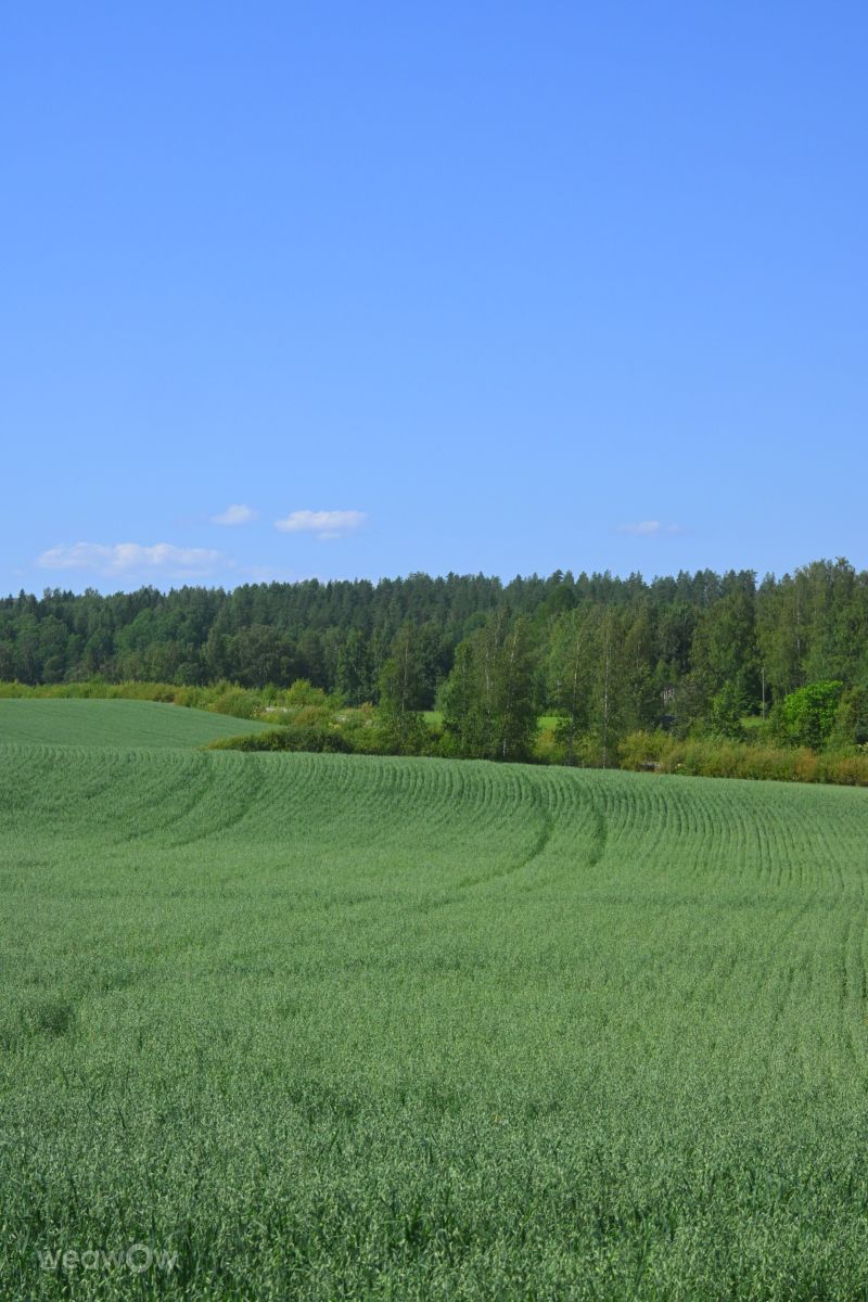 Weather Photos in Finland. Weather forecasts with beautiful photos by Kokorhekkus