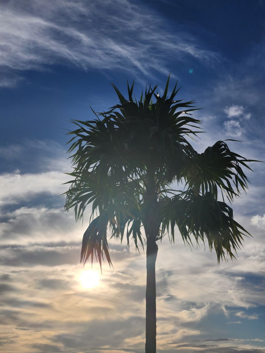 Weather Photos in West Palm Beach. Weather forecasts with beautiful photos by blondevivante