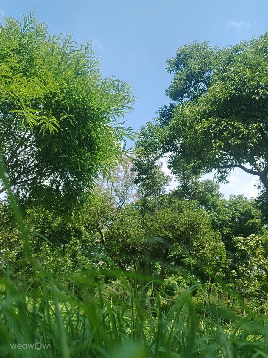 Fotos sobre el clima en México. Pronósticos del tiempo con hermosas fotos de Eriq Pheres Loshola
