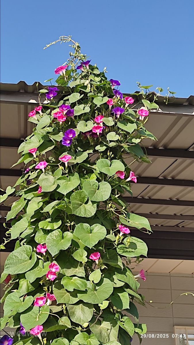 West Azerbaijanの天気写真. Par Jamの美しい写真による天気予報