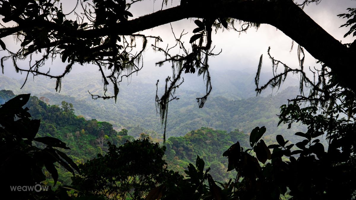 Fotos sobre el clima en Colombia. Pronósticos del tiempo con hermosas fotos de vlobes