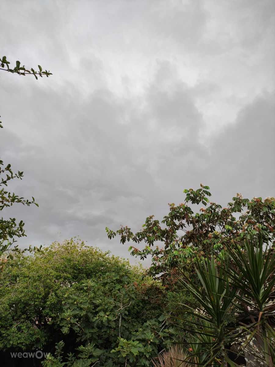 Photos météo à Palotina. Prévisions météo avec de superbes photos de Cleide