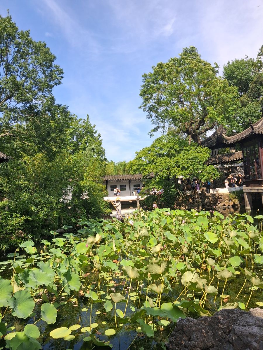 Weather Photos in China. Weather forecasts with beautiful photos by MartaCORAZON