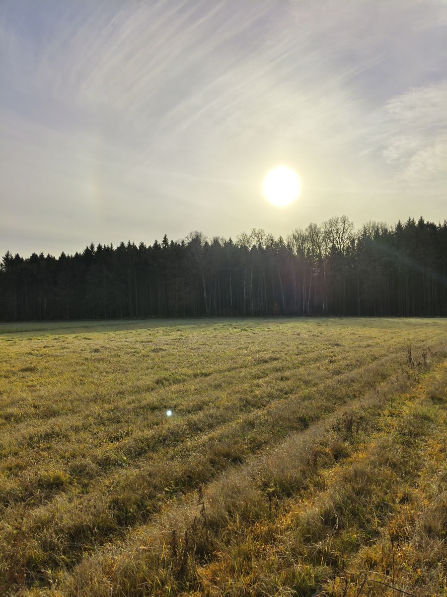 摄影师 Aleksei，Tula的天气照片 - Weawow