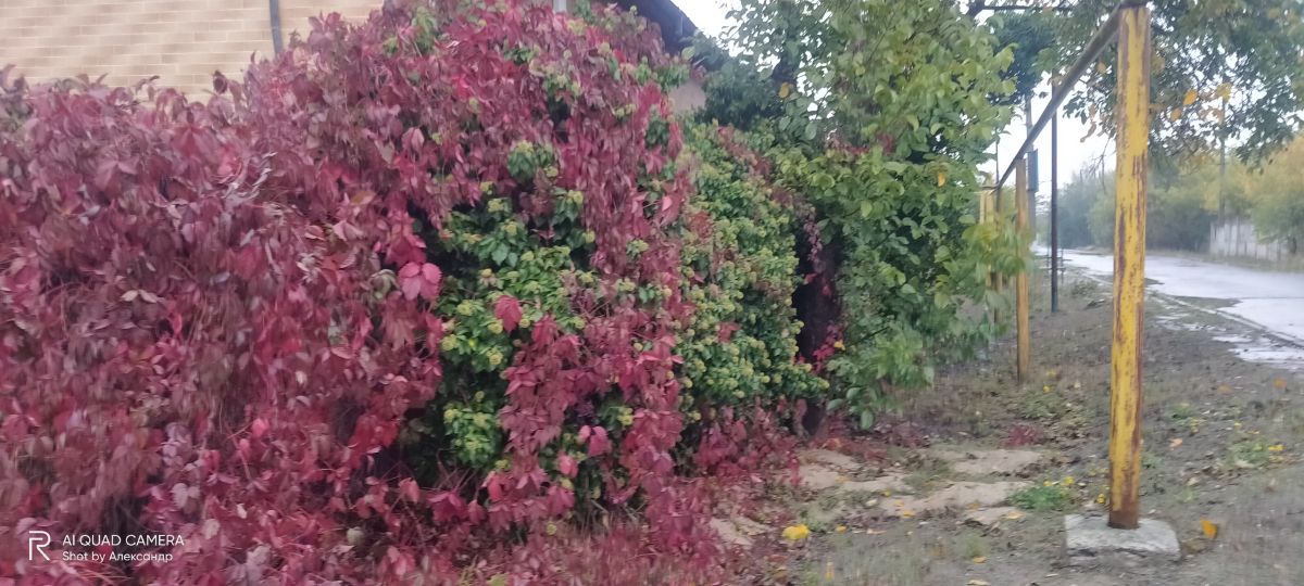 Фотографии Погоды в Одесская область. Прогнозы погоды с чудесными фотографиями, сделанными Alexandr60