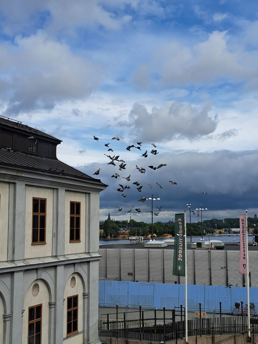Weather Photos in Swedenborgsgatan. Weather forecasts with beautiful photos by NikolausMinas