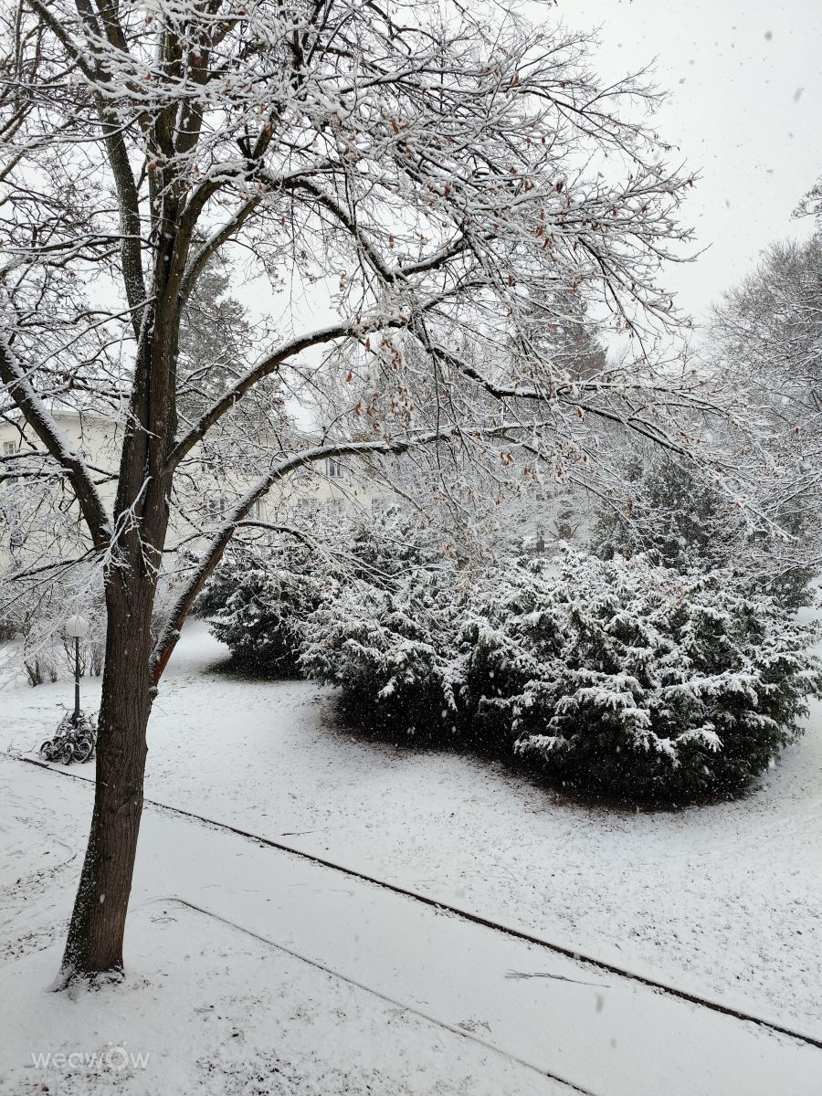 Fotografos Oleg1961, Fotos do tempo em Marienfelde - Weawow