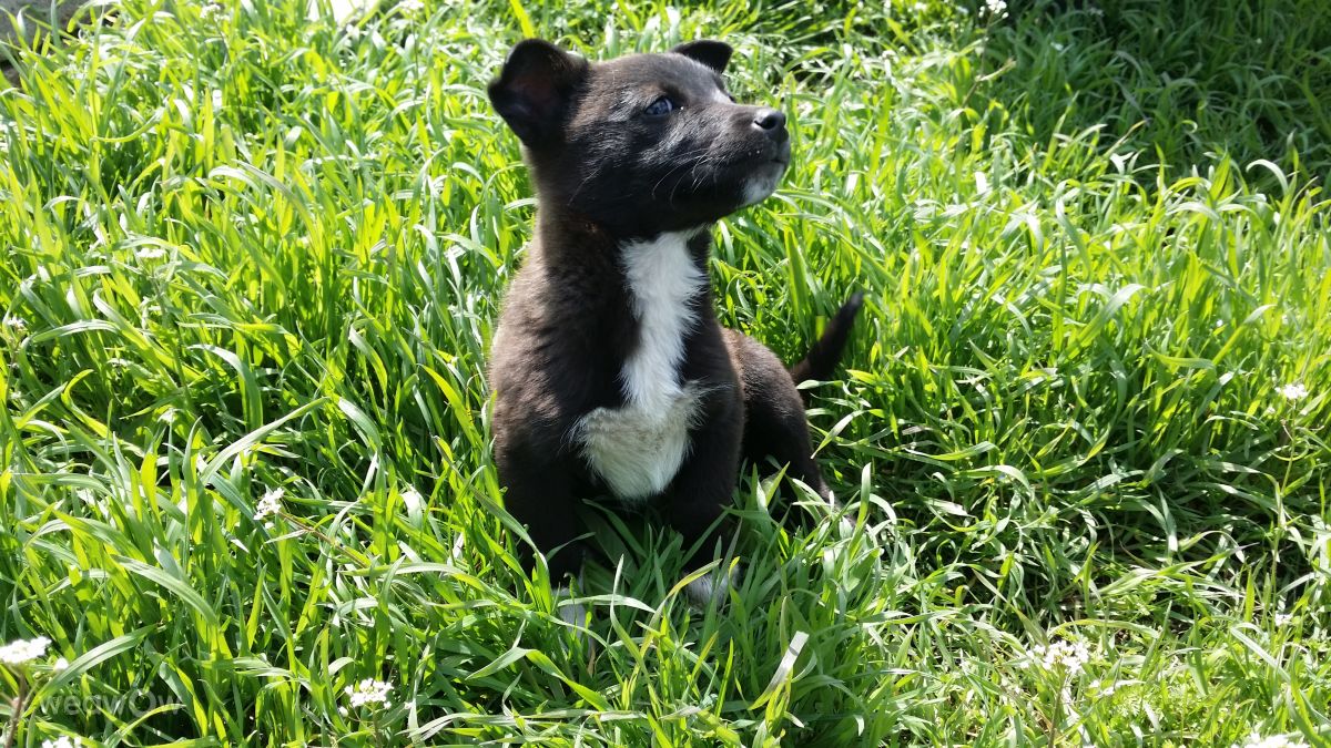 Fotos do tempo em Vaslui. Previsões do tempo com lindas fotos de rossg