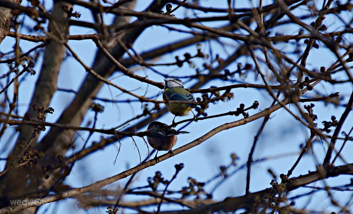 Photographer tony5636, Weather Photos in Calvisson - Weawow