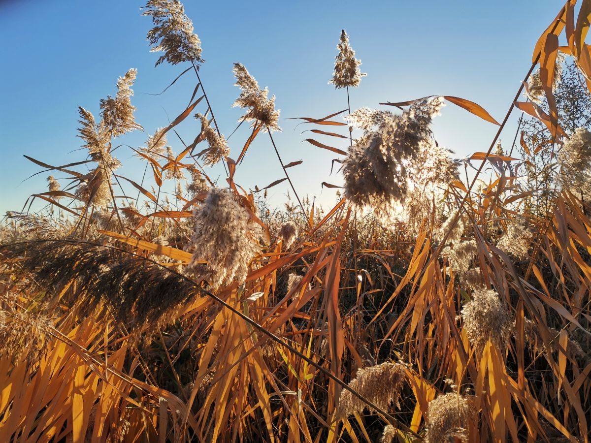 Weather Photos in Kherson. Weather forecasts with beautiful photos by AleksejLobanov