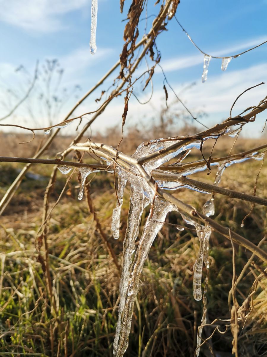 Weather Photos in Kherson. Weather forecasts with beautiful photos by AleksejLobanov