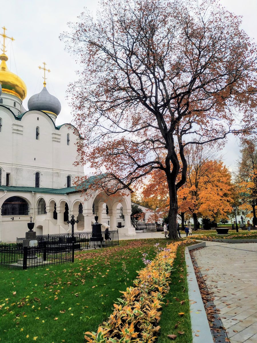 摄影师 19Lora46，莫斯科的天气照片 - Weawow