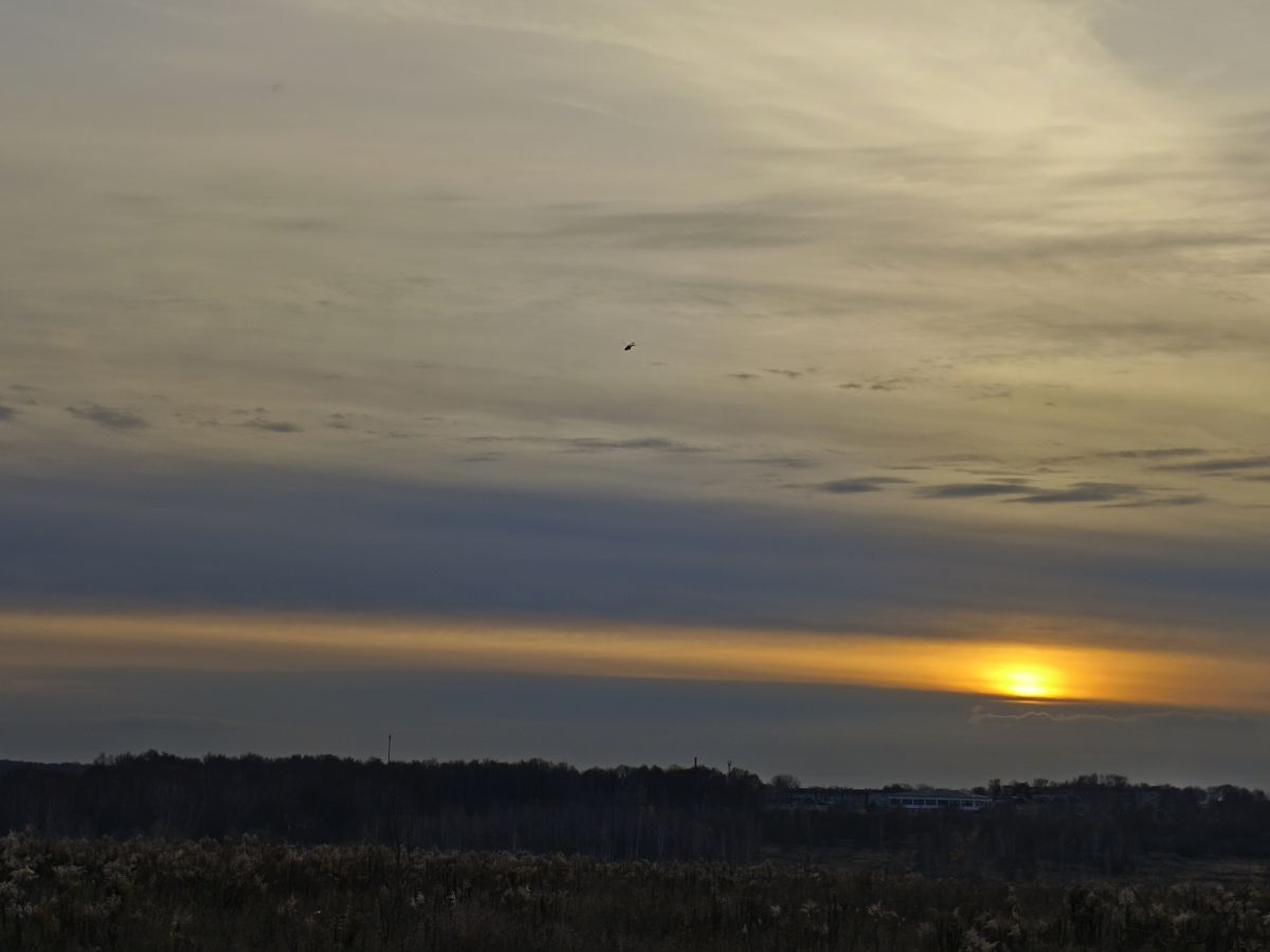 Fotos sobre el clima en Tula. Pronósticos del tiempo con hermosas fotos de Aleksei