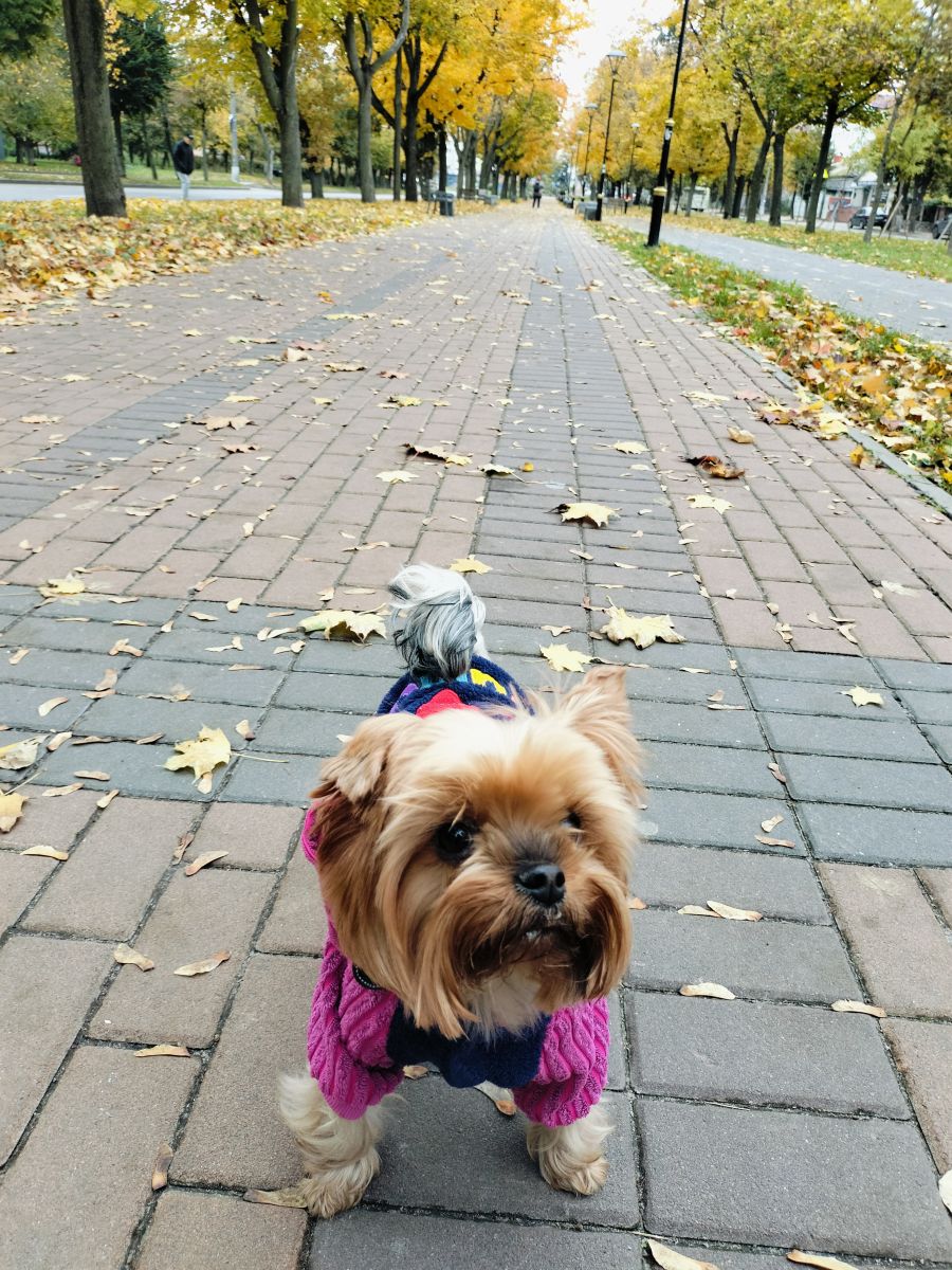Fotos sobre el clima en Bila Tserkva. Pronósticos del tiempo con hermosas fotos de Маргарита Котенко