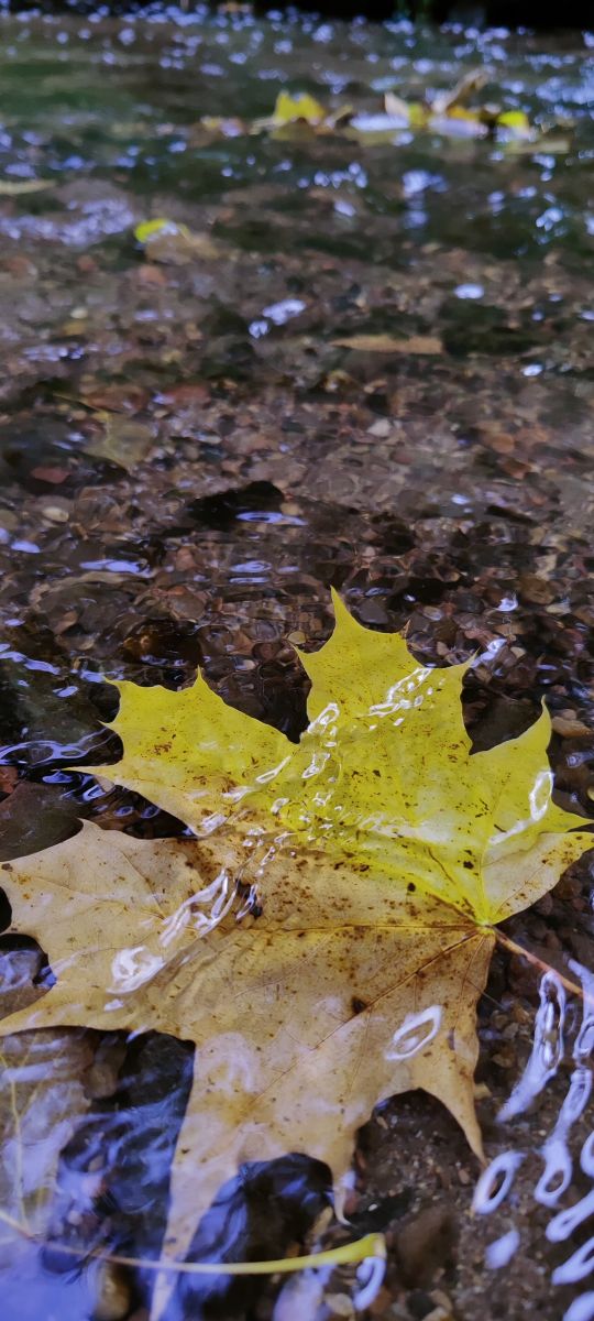 Fotos do tempo em Vitebsk. Previsões do tempo com lindas fotos de Natallia