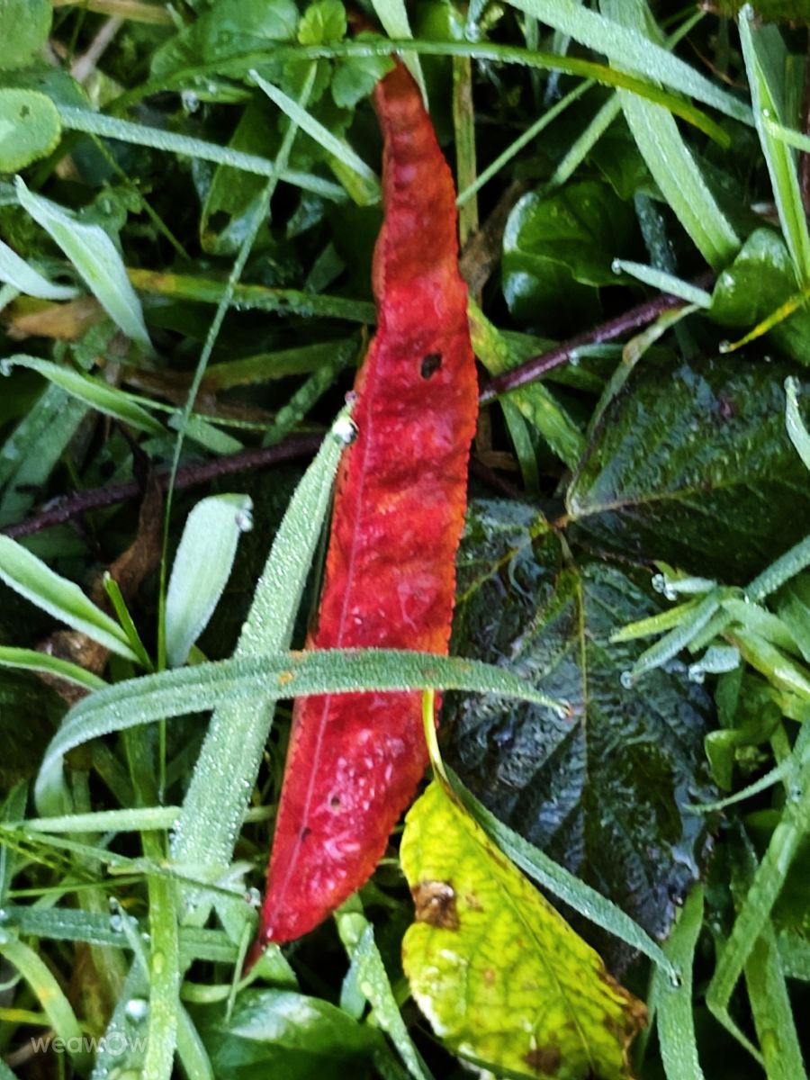 Фотографии Погоды в Словения. Прогнозы погоды с чудесными фотографиями, сделанными Anamarija