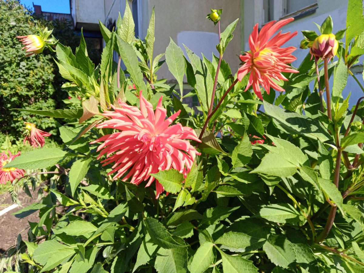 Weather Photos in Tyumen Oblast. Weather forecasts with beautiful photos by Юлдуз Каландарова