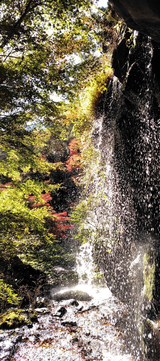 Photographer umemui, Weather Photos in Atami - Weawow