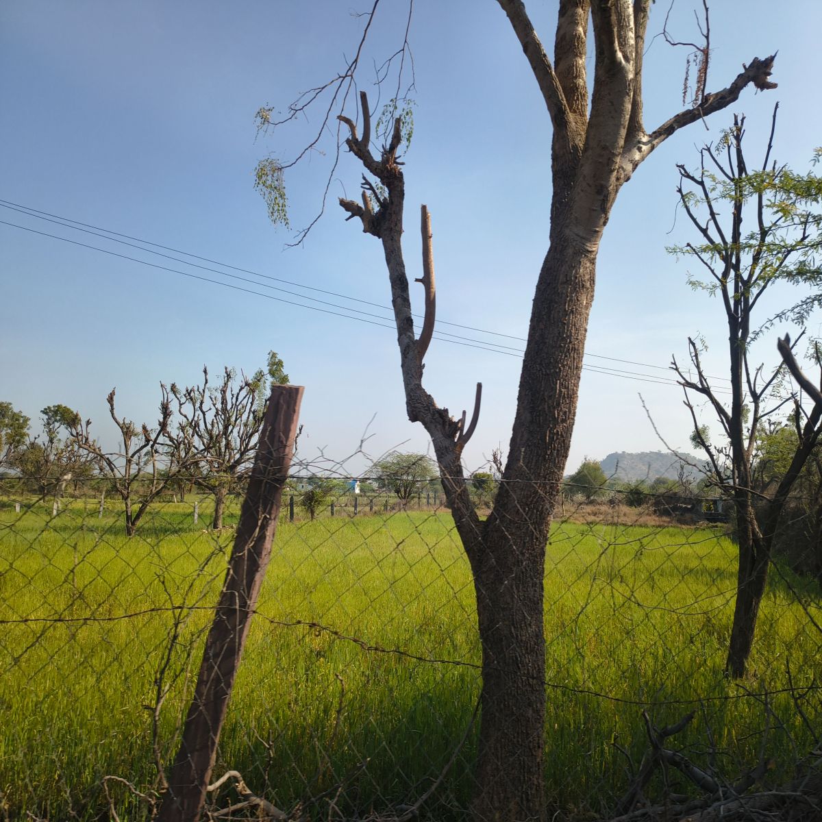 Weather Photos in Rajasthan. Weather forecasts with beautiful photos by Pradeep_0