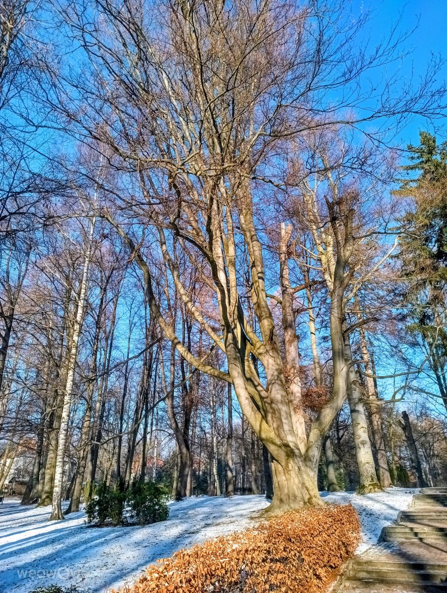 Wetter Photos Ladek Zdroj. Wettervorhersagen mit schönen Fotos von Kripo