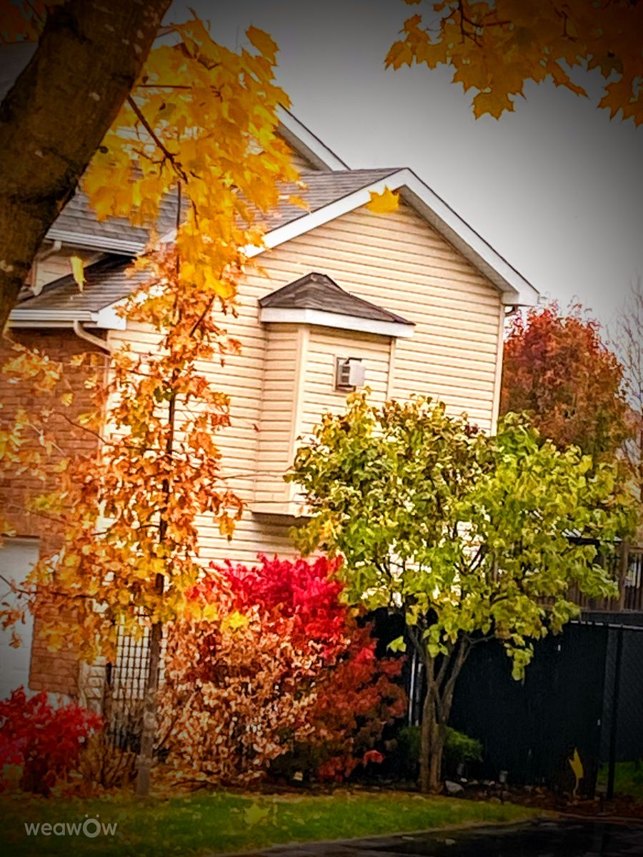 Photographer Lulu5523, Weather Photos in le Plateau - Weawow