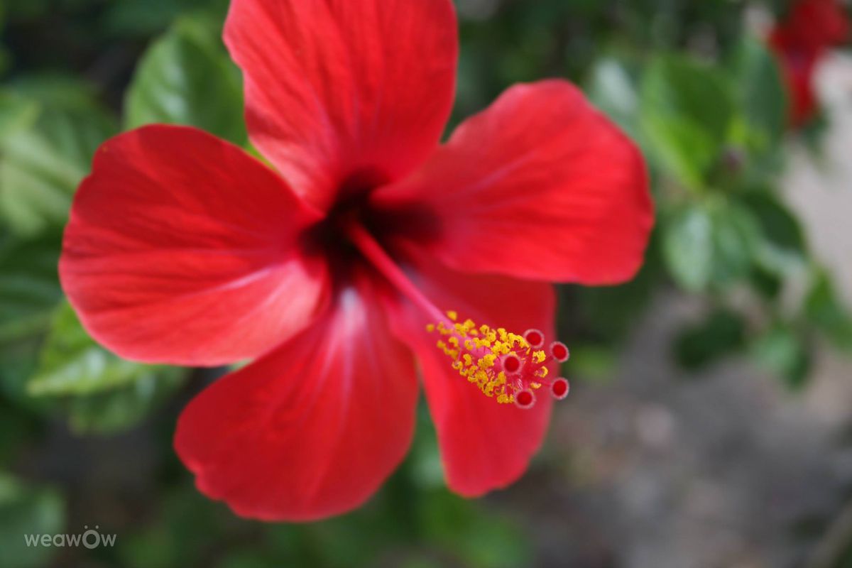 Photographer leschless, Weather Photos in Crete - Weawow
